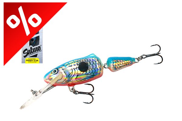 SALMO WOBBLER FRISKY  FR5DR SBS