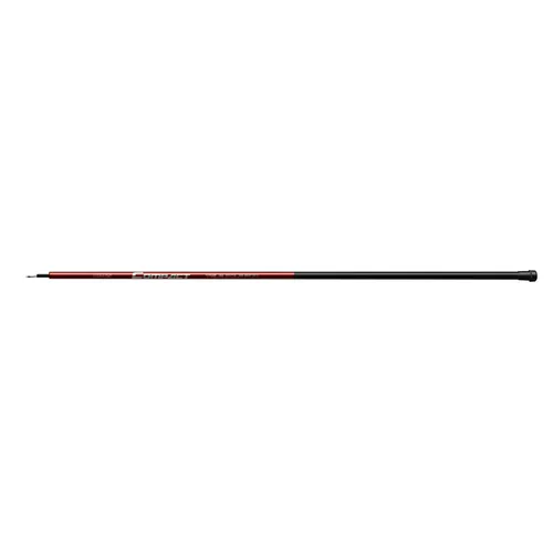 COMPACT POLE 300