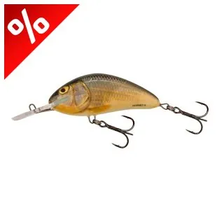 SALMO WOBBLER HORNET H9F RR