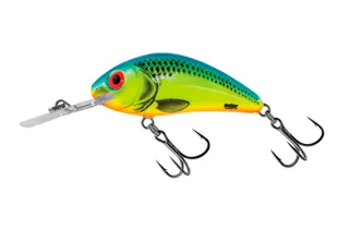 SALMO WOBBLER RATTLIN HORNET H6.5 CB