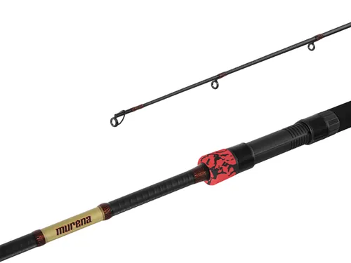 DELPHIN MURENA POWER - 300CM/125G/2 RÉSZ