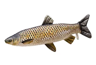 HALAS PÁRNA AMUR ÓRIÁS 105CM