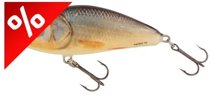 SALMO WOBBLER FATSO F10F RR