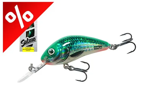 SALMO WOBBLER RATTLIN HORNET H6.5 GFP