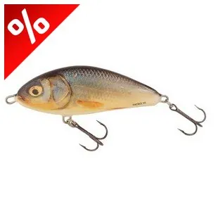 SALMO WOBBLER FATSO F10S RR