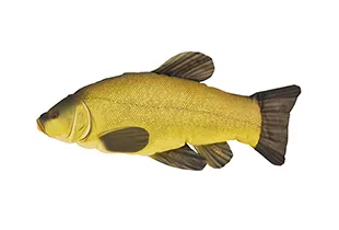 HALAS PÁRNA COMPÓ 60CM